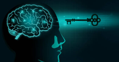 The Elon Code: Unlock the Wealth Signal in Your Brain